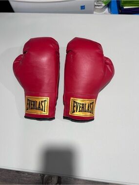 Everlast Red Boxing Gloves with Gold Logo